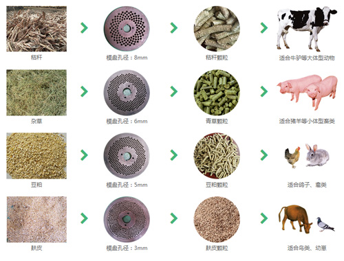 玉米秸秆处理新方法